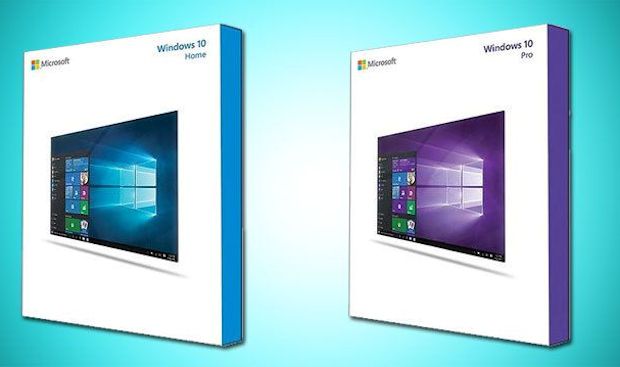 Ecco le confezioni di Windows 10
