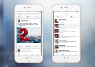 facebook_at_work-100562894-large-idge