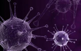 vettore d’attacco ImageGate