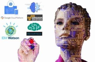Usare le API di intelligenza artificiale di Google, Amazon, Microsoft e IBM