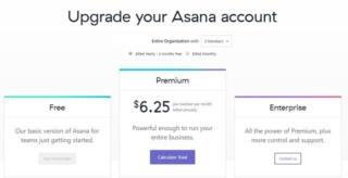 Asana, i prezzi