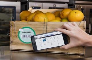 ibm blockchain walmart