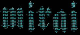 image12-mirai image12-mirai