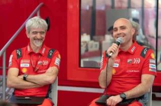 dall-igna-conti dall-igna-conti