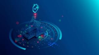 zero trust zero trust