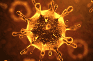 coronavirus