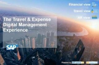 Scovare abusi e inefficienze nelle note spese con report SAP per CFO, HR e Travel Manager