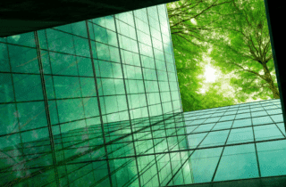 IT sostenibile: un approccio ambientale e sociale alla tecnologia aziendale