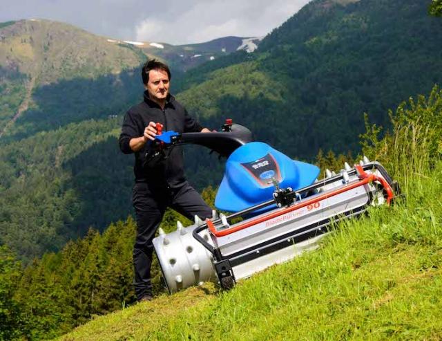 BCS Motofalciatrice caso SAP