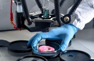 Electrospider, l’unica biostampante 3D che ricrea tessuti biologici compatibili con l’uomo