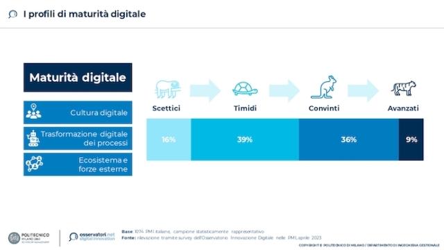 profili maturità digitale