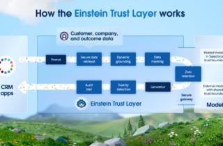 salesforce einstein trust layer einstein copilot