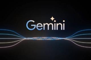 google gemini