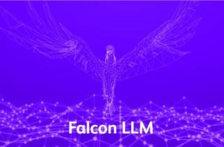 llm falcon