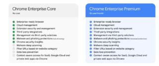 screenshot-chromeenterprise.google-2024.04.10-10_31_17 screenshot-chromeenterprise.google-2024.04.10-10_31_17