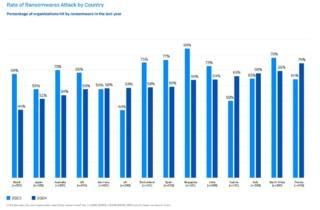 Immagine 2024-05-03 095333 Immagine 2024-05-03 095333