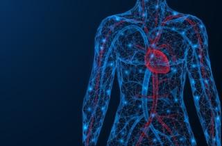 Un sensore nei vasi sanguigni per monitorare i malati cardiovascolari