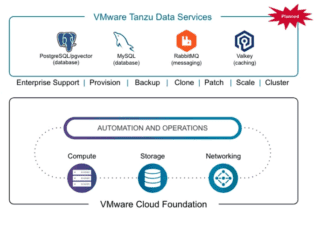 tanzu data services tanzu data services