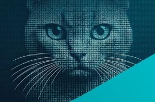 Bootkitty è il primo bootkit UEFI per Linux scoperto da ESET