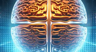 screenshot-www.broadcom.com-2024.12.16-10_27_48