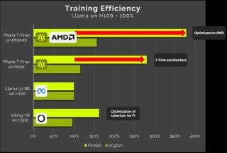 Aleph Alpha AMD Aleph Alpha AMD