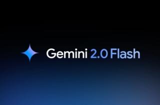 google Gemini 2.0