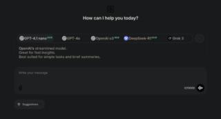 privacy DeepSeek privacy DeepSeek