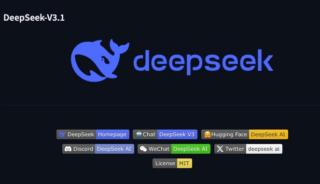 DeepSeek V3.1 DeepSeek V3.1
