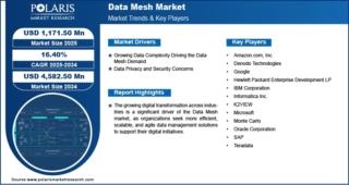 Data Mesh Market info