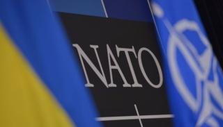 google nato