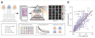 screenshot-www.microsoft.com-2025.12.16-10_34_52 screenshot-www.microsoft.com-2025.12.16-10_34_52