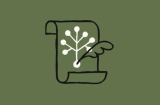 Anthropic aggiorna la “costituzione” del chatbot Claude e comincia a definirlo “un’entità”