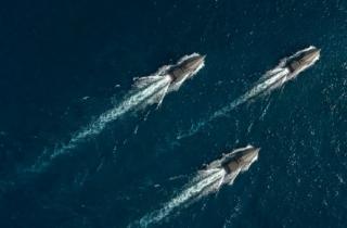 Mirai Robotics (robotica navale) è l’unica startup italiana presente a Nvidia GTC