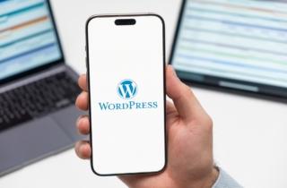 WordPress 7 avrà connettori ai principali modelli AI, utilizzabili da tutti i plugin