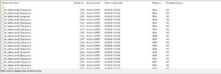 File crittografati dal ransomware SorryFonte: diozada sul forum di BleepingComputer