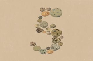 Anthropic rilascia Opus 5: potente “quasi come Fable”, ma a metà del prezzo